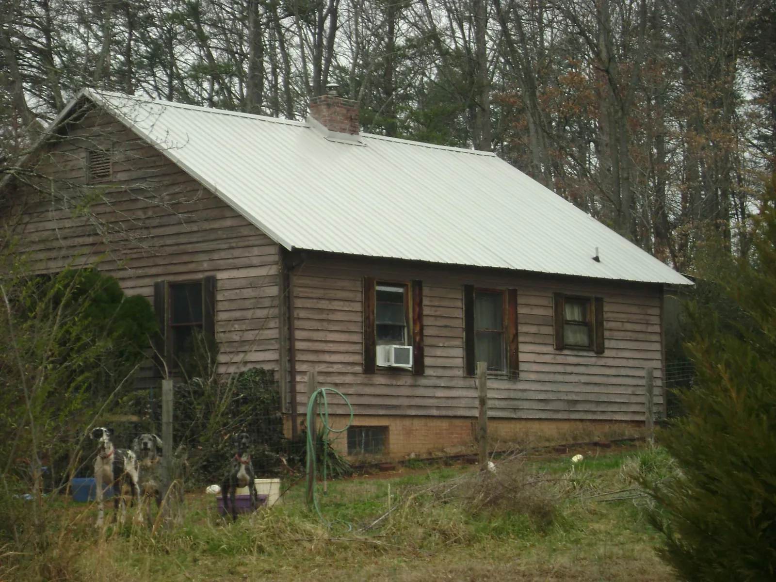 White metal roof on an old wood sided farmhouse, from a Asphalt Shingle Roof Repair job in Clarkia